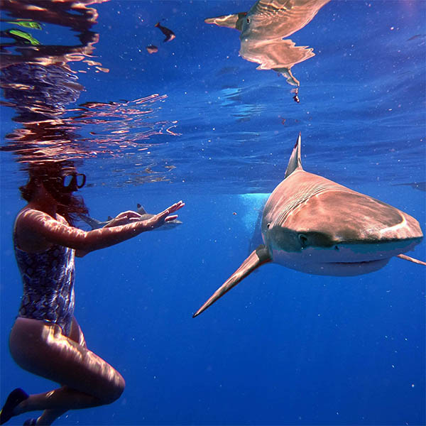 Activities near the Lagoon Dream at Moorea